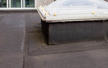 disadvantages of Craigie flat roofs