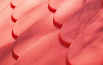 Craigie plastic roof costs