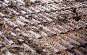 Craigie roof cleaning companies