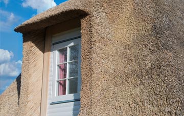 Craigie thatch roof disadvantages