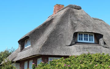thatch roofing Craigie