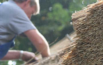 professional Craigie thatchers