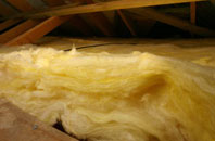 Craigie pitch roof insulation